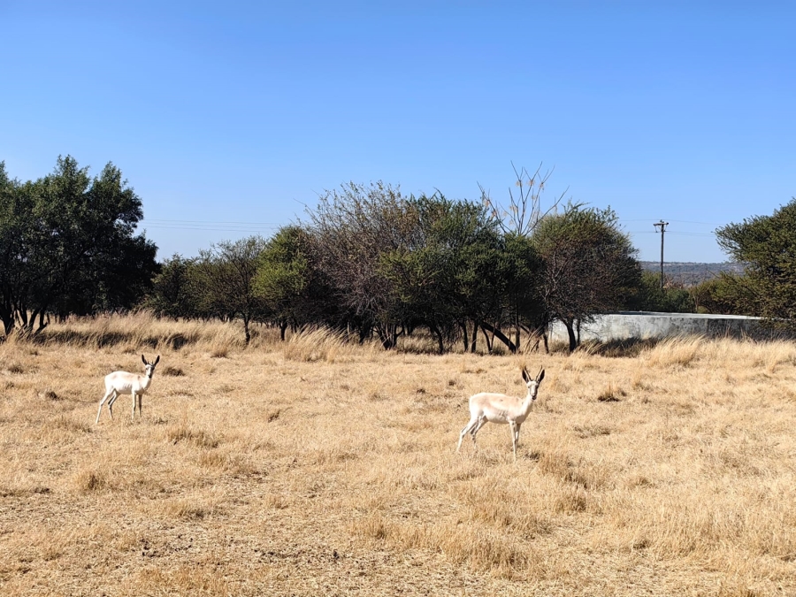 Commercial Property for Sale in Zeerust North West